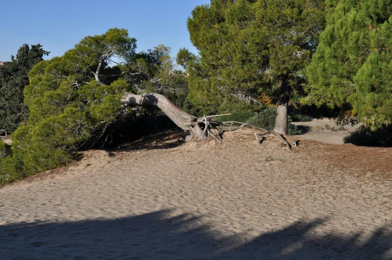 Costahispania 308 Gran Alacant Eksteriør bilde